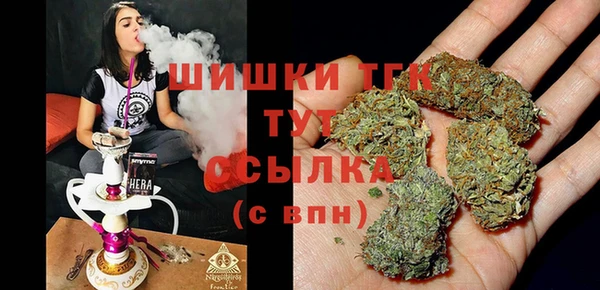 гидра Алексеевка