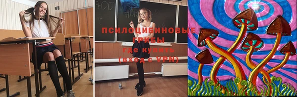 гидра Алексеевка