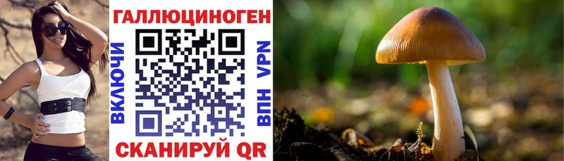 Псилоцибиновые грибы прущие грибы  что такое   Болхов 